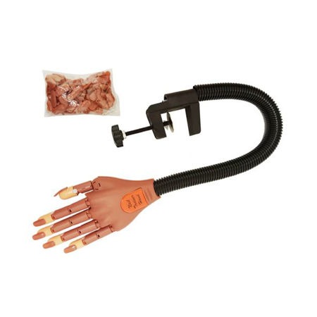 Imagen de Mano de Practica con Uñas removibles