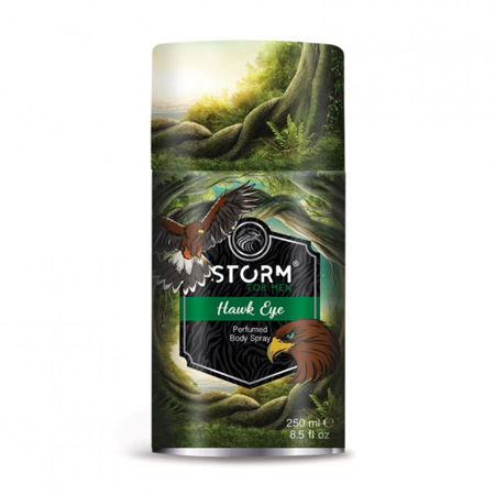 Imagen de Desodorante Storm Men 250 ml Hawk Eye