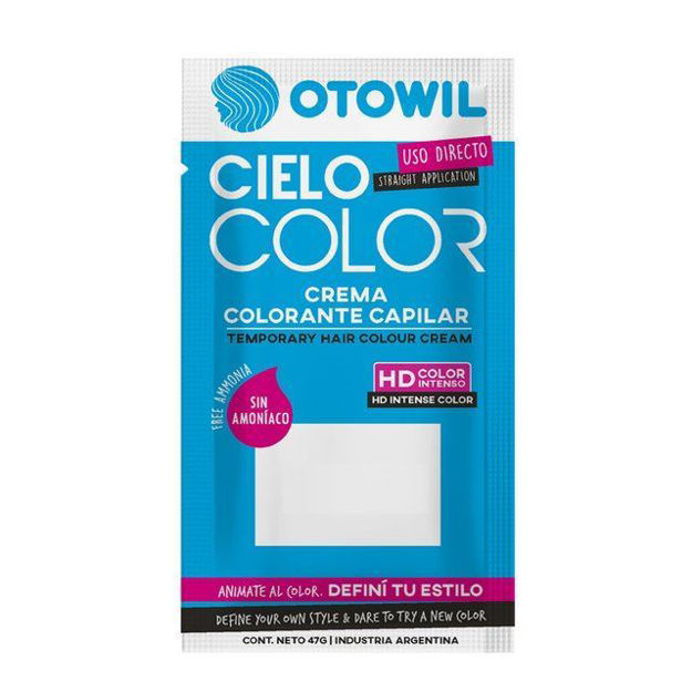 Imagen de Tinta Fantasia Otowil Cielo Color 47 gr Gris Smoke