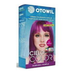 Imagen de Tinta Fantasia Otowil Cielo Color 47 gr Purpura