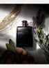 Imagen de Ralph Lauren Club Edp 30 ml
