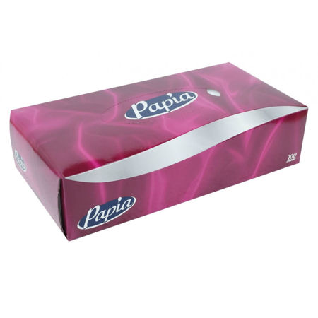 Imagen de Pañuelos Desechables Papia Caja x100