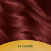 Imagen de Tinta Soft Color Nº55