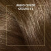Imagen de Tinta Koleston Kit Nº61 Rubio Cenizo Oscuro