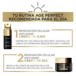 Imagen de Crema de Dia Loreal Age Perfect Cell Renewal 50 ml SPF 25