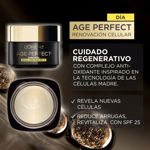 Imagen de Crema de Dia Loreal Age Perfect Cell Renewal 50 ml SPF 25