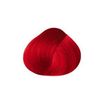 Imagen de Tinta Issue Crazy Colors 47 g Rojo