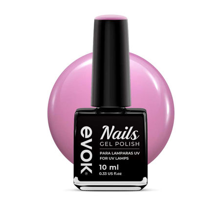 Imagen de Esmalte Gel Semipermanente Evok N°283