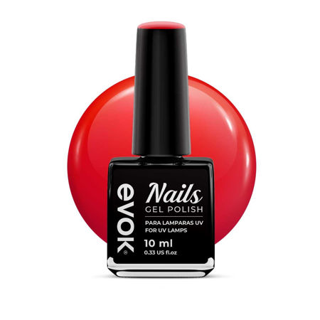 Imagen de Esmalte Gel Semipermanente Evok N°266