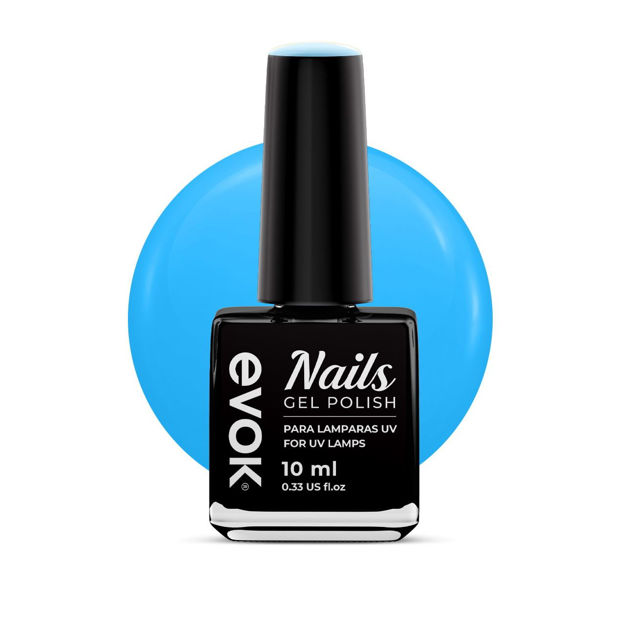 Imagen de Esmalte Gel Semipermanente Evok N05