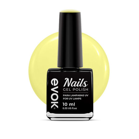 Imagen de Esmalte Gel Semipermanente Evok N03