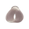Imagen de Tinta Question Lumiplex Color 60 ml N°10.10