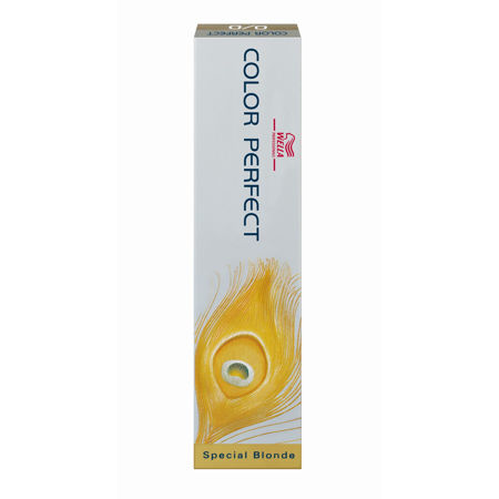 Imagen de Tinta Color Perfect 60 ml Nº12.22