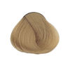 Imagen de Tinta Alfaparf Evolution of the Color 60 ml N°9.31
