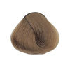 Imagen de Tinta Alfaparf Evolution of the Color 60 ml N°8.31