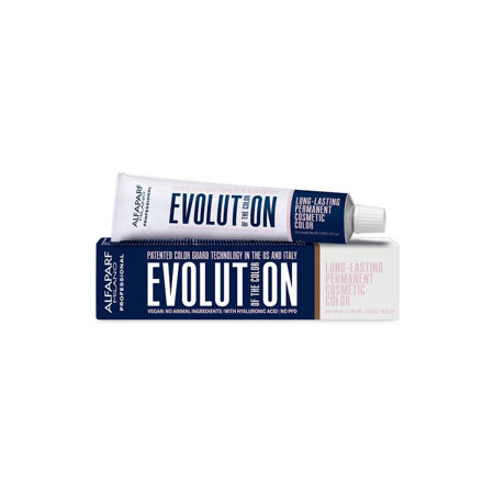 Imagen de Tinta Alfaparf Evolution of the Color 60 ml N°10.1