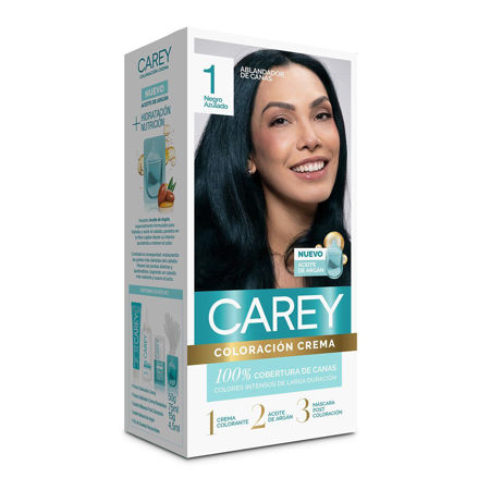 Imagen de Tinta Carey Kit Nº1