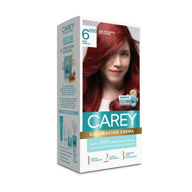 Imagen de Tinta Carey Kit Nº6.666