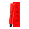 Imagen de Tinta Igora Royal 60 ml N°4.99 Castaño Medio Violeta Intenso
