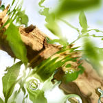 Imagen de Lancome Off Now Edt 100 ml