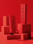 Imagen de Tinta Igora Royal 60 ml N°8.1 Rubio Claro Ceniza