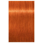 Imagen de Tinta Igora Royal 60 ml N°8.77 Rubio Claro Cobrizo Intenso