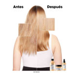 Imagen de Shampoo Reparador Absolut Repair Gold Loreal Pro 300 ml