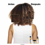 Imagen de Máscara Absolut Repair Golden Reparacion Loreal Pro 500 ml