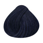 Imagen de Tinta Alfaparf Shine Effect 60 ml N°1.11