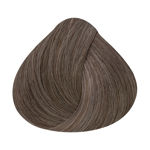 Imagen de Tinta Alfaparf Shine Effect 60 ml N°7.21