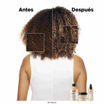 Imagen de Loreal Pro Absolut Repair Shampoo + Acondicionador
