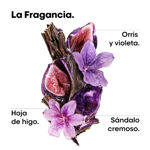 Imagen de Shampoo Keratin Alpha Sleek Loreal Pro 300 ml