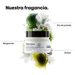 Imagen de Máscara Protectora Metal Detox Loreal Pro 500 ml