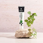 Imagen de Gel Dental Sri Sri Sudanta Efecto Blanqueador 50 g